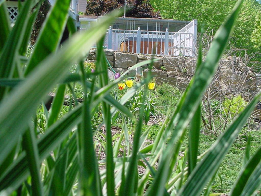 崔克里沃特斯度假山林小屋 Marquette 外观 照片