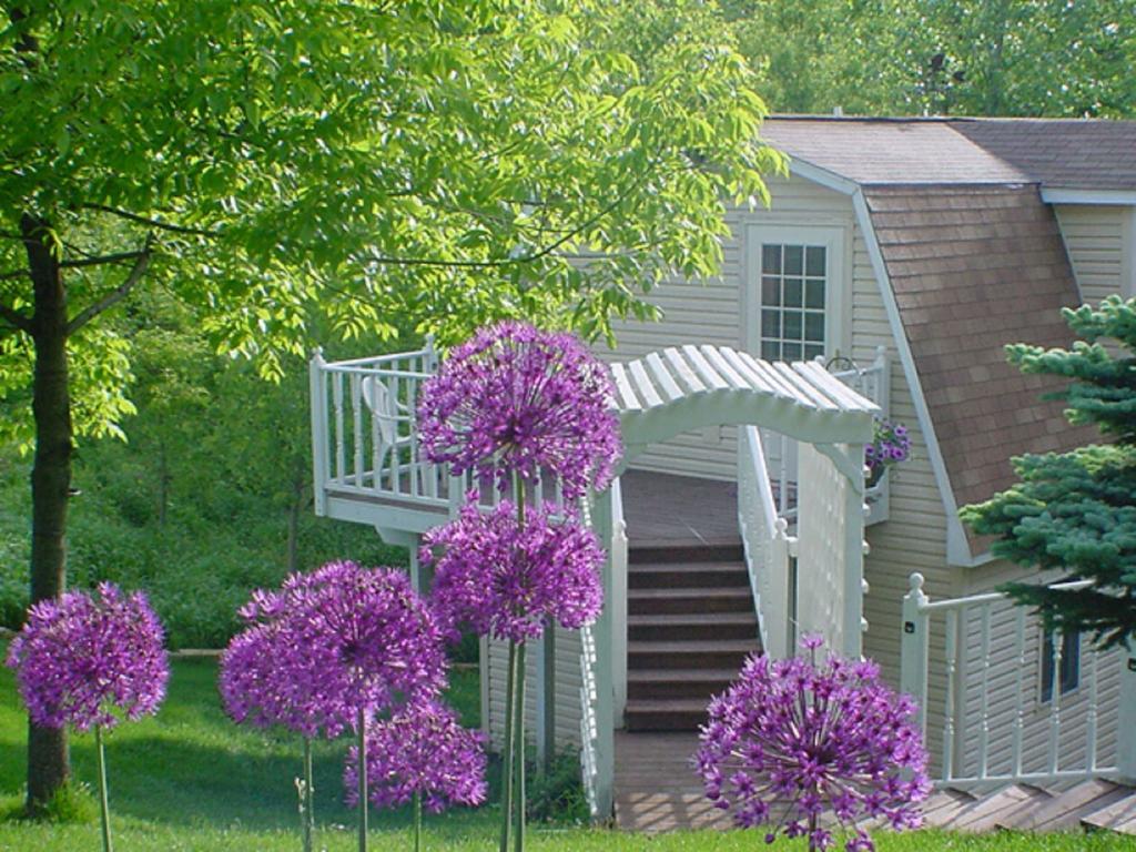 崔克里沃特斯度假山林小屋 Marquette 外观 照片