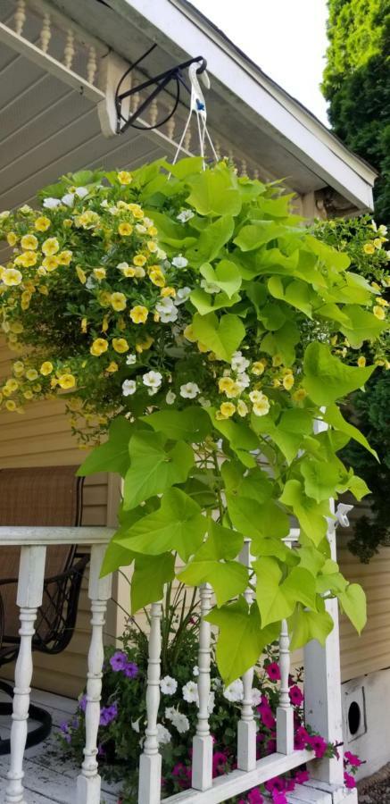 崔克里沃特斯度假山林小屋 Marquette 外观 照片